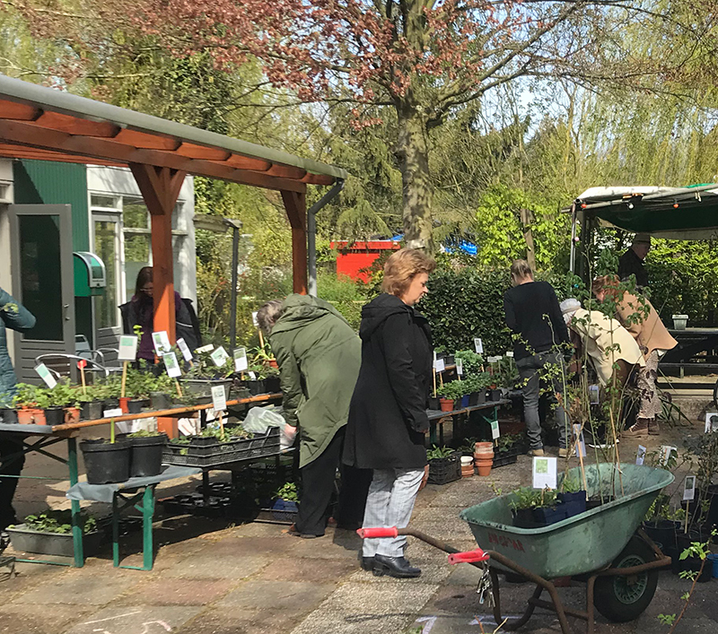 Plantenmarkt-VTV-Blijdorp2